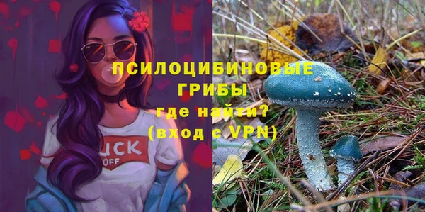 прущие крисы Арсеньев