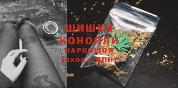 прущие крисы Арсеньев