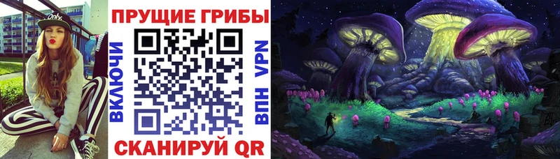 Псилоцибиновые грибы Psilocybe  где можно купить наркотик  Окуловка 